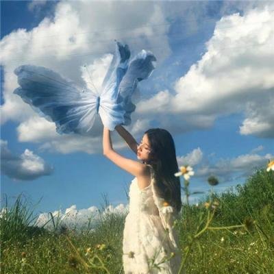 奇波和神奇动物的时代第二季